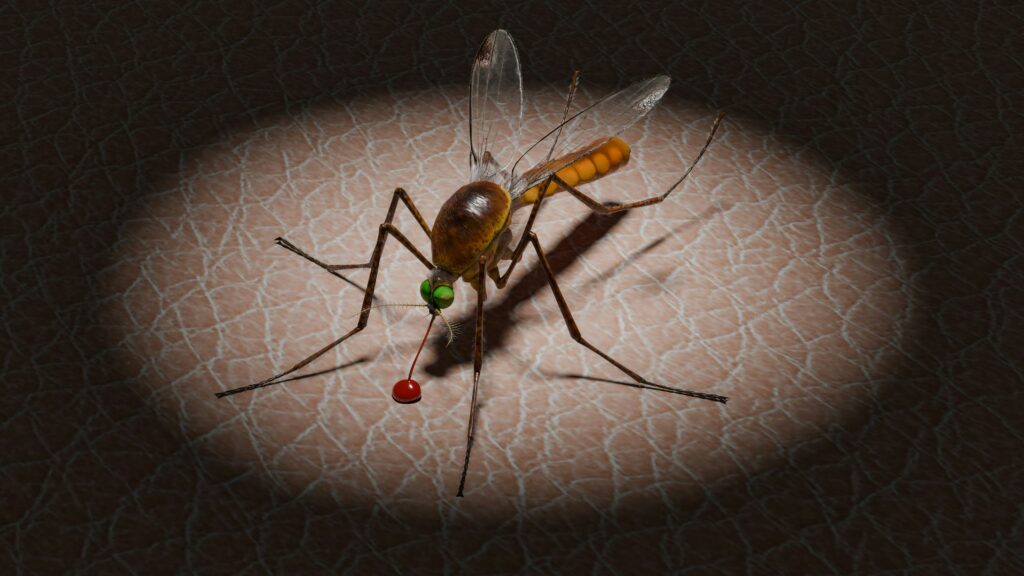 Norsunate 50 and 100 mg | Fast-Acting Malaria Treatment