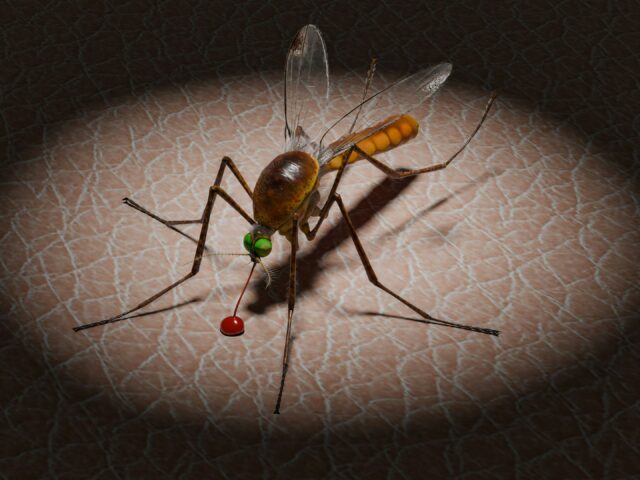 Top 7 Benefits of Norsunate 50 mg and 100 mg | Fast-Acting Malaria Treatment