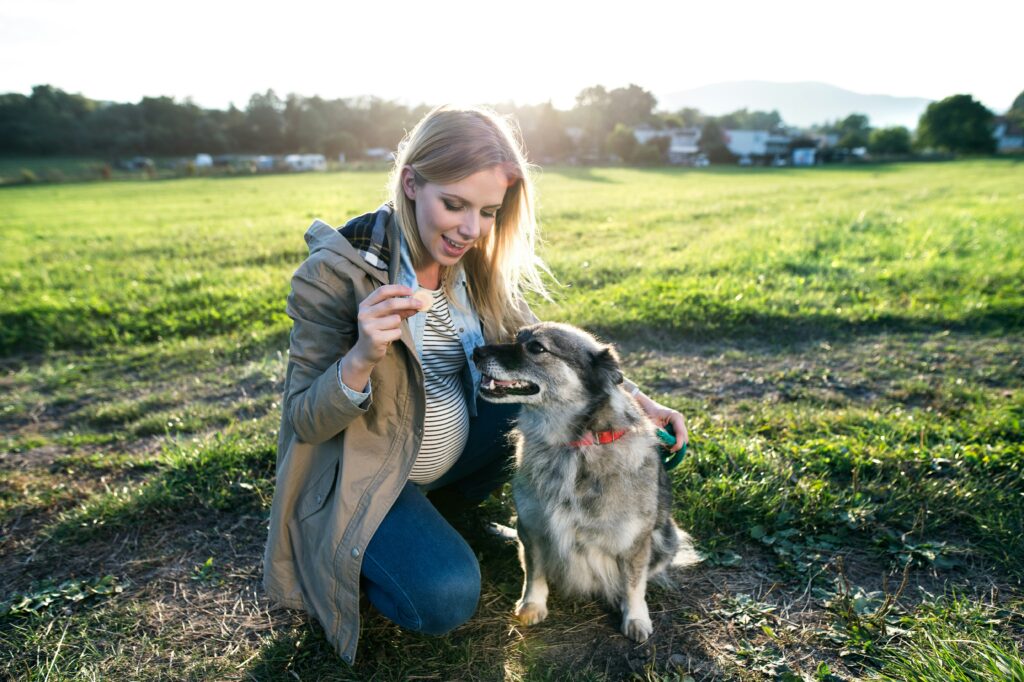 dewormer for dogs