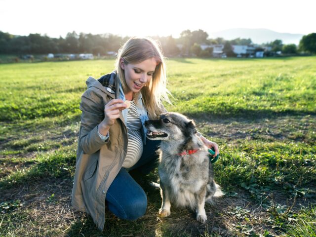 Fenbendazole 222 mg: Safe & Effective Dewormer for Pets